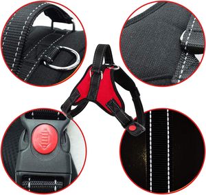Arnés para Perro Grande de Nailon Reflectante, Transpirable y de Diseño Variado, de Lujo, Sólido y a la Moda, Tallas S-XL, Venta al Por Mayor del Fabricante Inthetrend - Product Image 3