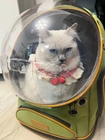 Mochila transportadora de mascotas tipo cápsula espacial de gran capacidad, transpirable, con ventana de burbuja, para gatos y perros, para viajes al aire libre.