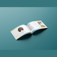 Accessoire de photographie, magazines couleur personnalisée, collection 2020