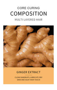 Органическое масло для ухода за кожей головы имбиря-питает корни и способствует более быстрому росту волос естественным путем - Product Image 2