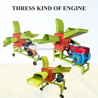 Broyeur multifonction pour paille d'herbe pour animaux agricoles Broyeur de fourrage Fraisage progressif Machine à couper les paillettes avec moteur