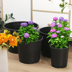 Vaso da vivaio in plastica PP nero, corto e robusto - Biodegradabile e resistente con fori di drenaggio per la piantumazione di rose all'aperto - Product Image 3