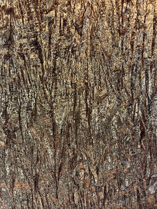 قماش رخيص لامع بختم ساخن قماش على الموضة الأمريكية والأوربية قماش ملابس من الساتان بكشكشة - Product Image 6