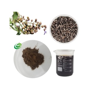 Bổ sung sức khỏe <span class=keywords><strong>Vitex</strong></span> <span class=keywords><strong>agnus</strong></span>-<span class=keywords><strong>castus</strong></span> chiết xuất <span class=keywords><strong>chaste</strong></span> cây Berry chiết xuất bột Chasteberry chiết xuất hạt bột cho sức khỏe phụ nữ - Product Image 3