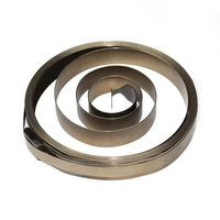 Ressort de défilement en acier inoxydable 301 personnalisé en usine Style spirale de 0.1 à 10mm d'épaisseur pour usage automobile et industriel galvanisé