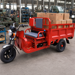 Triciclo de Gasolina para Mensajería con Caja de Acero, Vehículo de Reparto de Tres Ruedas con Motor de Gasolina, Largo Alcance para Granja - Product Image 2