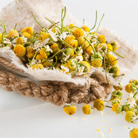 Hidrolat Chamomile Alami Menenangkan Kulit Iritasi Toner Wajah Melembapkan Tersedia Label Pribadi