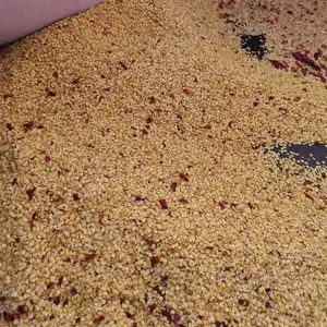 Venta caliente nuevos productos Color amarillo caliente pimienta de Chile de tipo de China para exportación de alimentos a más de 30 años. - Product Image 4