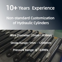 Cylindre de levage Botong à double action en acier chromé dur pour machines routières, pression 16-31,5 MPa, garantie 1 an