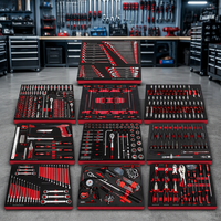 Ensemble d'outils de mécanicien professionnel de 491 pièces avec plateau en mousse EVA à 10 tiroirs et inserts, kit d'outils à douilles pour atelier de réparation automobile