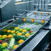 Doorlopende Fruit-En Groentedrukreiniger Automatische Wasreinigingsmachine