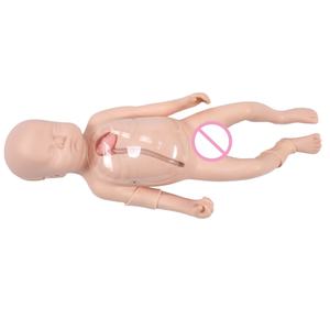 Modelo de canulación venosa <span class=keywords><strong>central</strong></span> periférica de maniquí neonatal de ciencia médica avanzada DARHMMY - Product Image 1