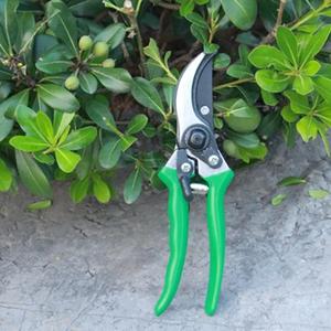 पेशेवर उद्यान छंटाई कैंची हाथ क़ैंची शाखाओं Trimming उपकरण आसान कटौती तेज ब्लेड Secateurs ग्रीन गार्डन कैंची - Product Image 5