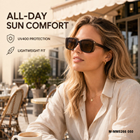 Lunettes de soleil œil de chat bicolores haut de gamme avec monture marron, système de clip magnétique, charnière renforcée, protection UV400, OEM ODM, vente en gros