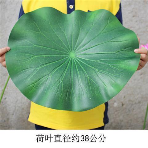 Grand tapis feuille de lotus [38cm]