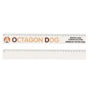 ไม้บรรทัดพลาสติกรีไซเคิล อุปกรณ์ที่เป็นมิตรกับสิ่งแวดล้อม - Product Image 1