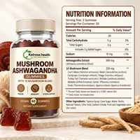 Complément alimentaire OEM pour la concentration cérébrale, Lion's Mane, Reishi, champignons pour la santé quotidienne, gommes à mâcher à l'ashwagandha
