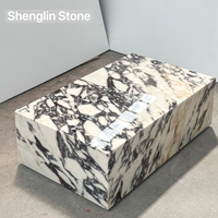 Table basse rectangulaire en marbre naturel sur mesure, socle massif, pour projets résidentiels haut de gamme, salon.