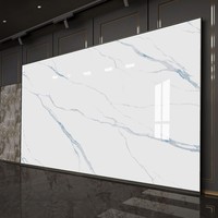 Panneau mural en marbre Panneau mural haute définition en pierre moderne en plastique composite Revêtement UV Feuille de marbre en PVC Panneau mural en charbon de bambou