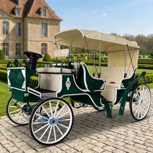 Calèche de tourisme de luxe électrique, style personnalisé, calèche de mariage, calèche de tourisme de haute qualité - Product Image 1