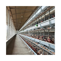 Ensemble d'équipements d'élevage avicole entièrement automatique de type H pour la ponte des œufs, dimensions de la batterie pour système de cage à poules pondeuses de 50 000 poulets