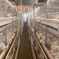 Nouvelle cage à poulets à alimentation automatique de type H à longue durée de vie avec certification ISO CE pour poulailler de style fermé