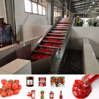 Dépulpeur de Fruits Professionnel Extracteur de Purée de Tomates Machine à Faire du Jus de Pulpe de Fruits