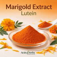 Extrait naturel de fleur de souci ActivaHerbs, luteïne soluble dans l'eau CWS 10% Luteïne