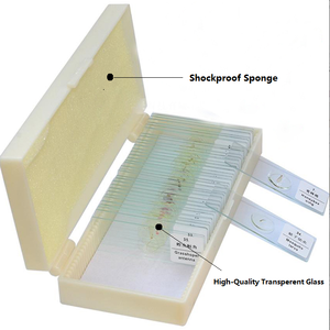 50 pezzi di vetrini per microscopio preparati per istruzione primaria di botanica e zoologia - Product Image 3