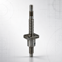 Conjunto de Tornillo de Bola Lineal CNC de Alta Precisión, Trapezoidal, de Acero Inoxidable Personalizado para Equipos de Automatización