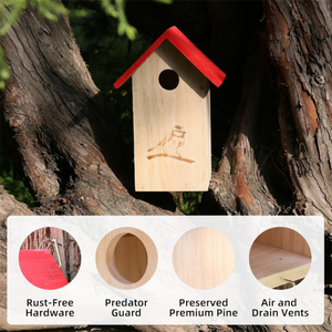 Casetta per Uccelli in Legno Decorativa Multifunzionale Ecologica Moderna con Gancio per Appendere per Tutte le Stagioni - Product Image 6