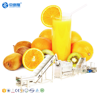 Ligne de production complète d'extrait de jus frais Juicer Machine de remplissage et d'emballage
