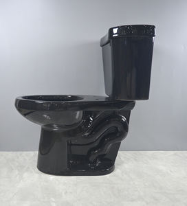 Traditional Design <strong>Black</strong> Ceramic WC S-Trap <strong>Toilet</strong> Set Dual-Flush Elongated Bowl Two-Piece for Hotel Bathroom Use - Product Image 4