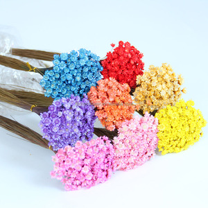 20 pièces de fleurs naturelles éternelles colorées, boules dorées de Craspedia, bouquet pour décoration de mariage - Product Image 2
