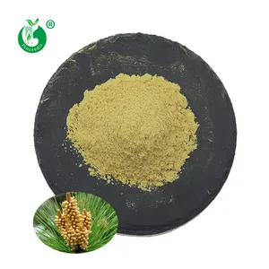 Pine Pollen Pincredit Supply Private Label Natural Organic Cell Wall Cracked Pine Pollen Powder