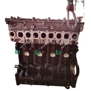 Newpars 100% Tested Diesel Engine D4CB Big Long Block For Hyundai Corea Car