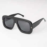 Kacamata Hitam Unisex Oversized Acetate SA0501 Terbaru, Bingkai Full Rim, Proteksi UV400, Cocok untuk Aktivitas Luar Ruangan, Dewasa, OEM Diterima