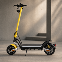 Scooter Eléctrico Plegable N08MAX 48V 500W 10Ah 11 Pulgadas para Desplazamientos Urbanos, Venta al Por Mayor