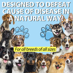 Oimmal 60ml Dog Cough Treatment Flüssige Ergänzungen Natürliche Allergie Linderung Trockener und nasser Husten Wheezing Kennel Cough Drops für Hunde - Product Image 5