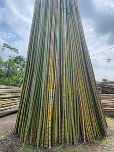 Estacas de Bambú Agrícolas de Alta Calidad, Estacas de Bambú para Jardín, Varillas de Soporte para Plantas, Venta al por Mayor, Fabricante de Bambú de Vietnam - Product Image 5