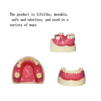 Modelo de enseñanza de práctica de implantes dentales