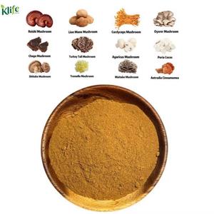 Miscela di Polvere di Funghi OEM: Maitake, Chaga, Cordyceps, Lions <span class=keywords><strong>Mane</strong></span>, Ganoderma Reishi - Product Image 2