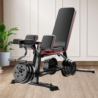Chaise de fitness professionnelle, équipement multifonctionnel pour abdominaux, planche abdominale, tabouret auxiliaire pour entraînement aux haltères