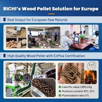 RICHI Fournisseur d'usines de granulés de bois EPC - Ligne de fabrication de granulés de bois biomasse à matrice annulaire de 1 à 10 TPH à faible consommation d'énergie