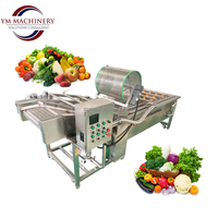Industriële bubbelwasmachine voor fruit- en groenteverwerkingsbedrijven