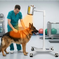 Appareil de photothérapie vétérinaire sur pied pour cliniques animales, pour chiens et chats, gestion durable de la douleur
