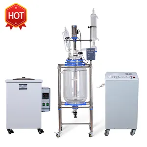 USA instock 1-100L grande cuve de réacteur de laboratoire à double paroi en verre ou bioréacteur de réacteur en verre à grande enveloppe