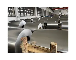 Manufacturers direct selling Pre-coated galvanized steel coil 0.8mm PPGL color coated galvanized metal