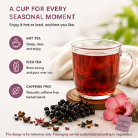 Vlierbessen Echinacea Gember Zwarte bes Kruidenextract Poeder Botanische Extract Mengsel Donkere Bes
