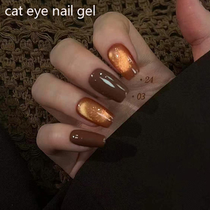 Set de Esmalte de Uñas en Gel Ojo de Gato Otoño Invierno con Brillo Flash, Colores Mixtos, Magnético, Removible, Kit de Gel para Uñas UV LED para Salón - Product Image 6